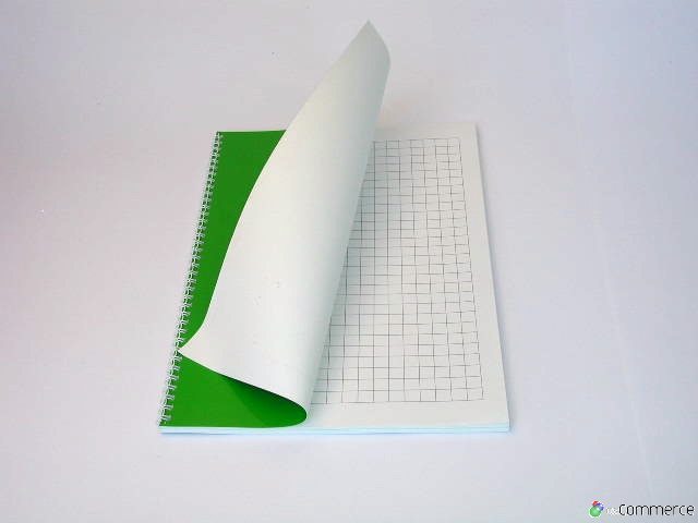 Quaderno a Quadretti: Quaderni Quadretti 1 cm, 120 Pagine, Una Copertina  con un Simpatico Riccio