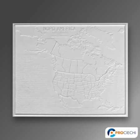 America del Nord politica