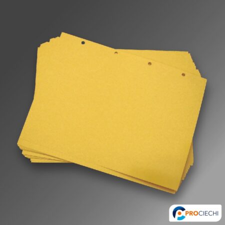Carta Braille forata formato A4