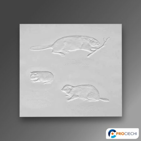 Il castoro, la marmotta e la cavia