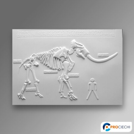 Scheletro elefante preistorico
